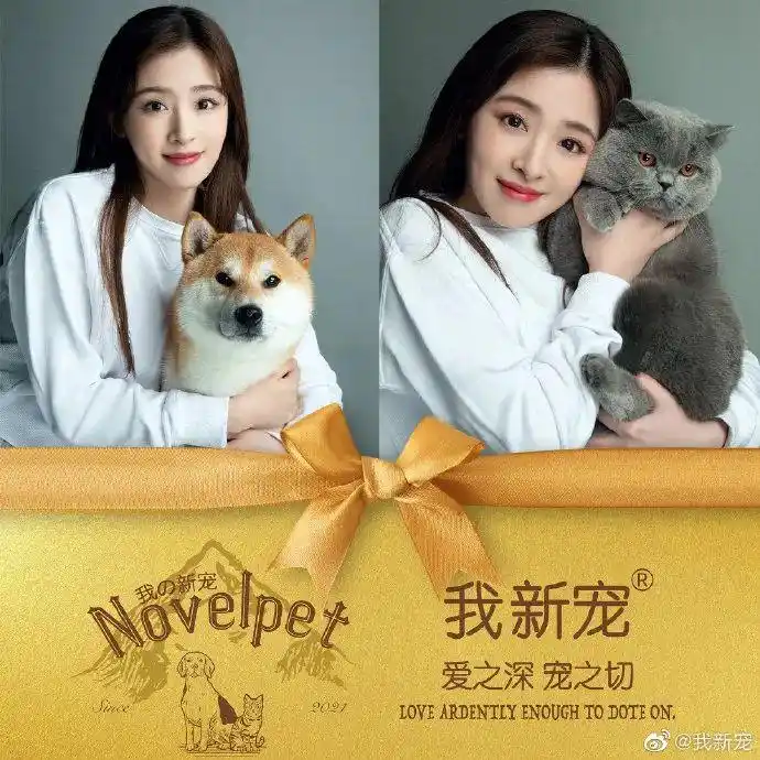 明星宠物行业代言_宠物食品品牌明星营销策略_狗年明星热点,